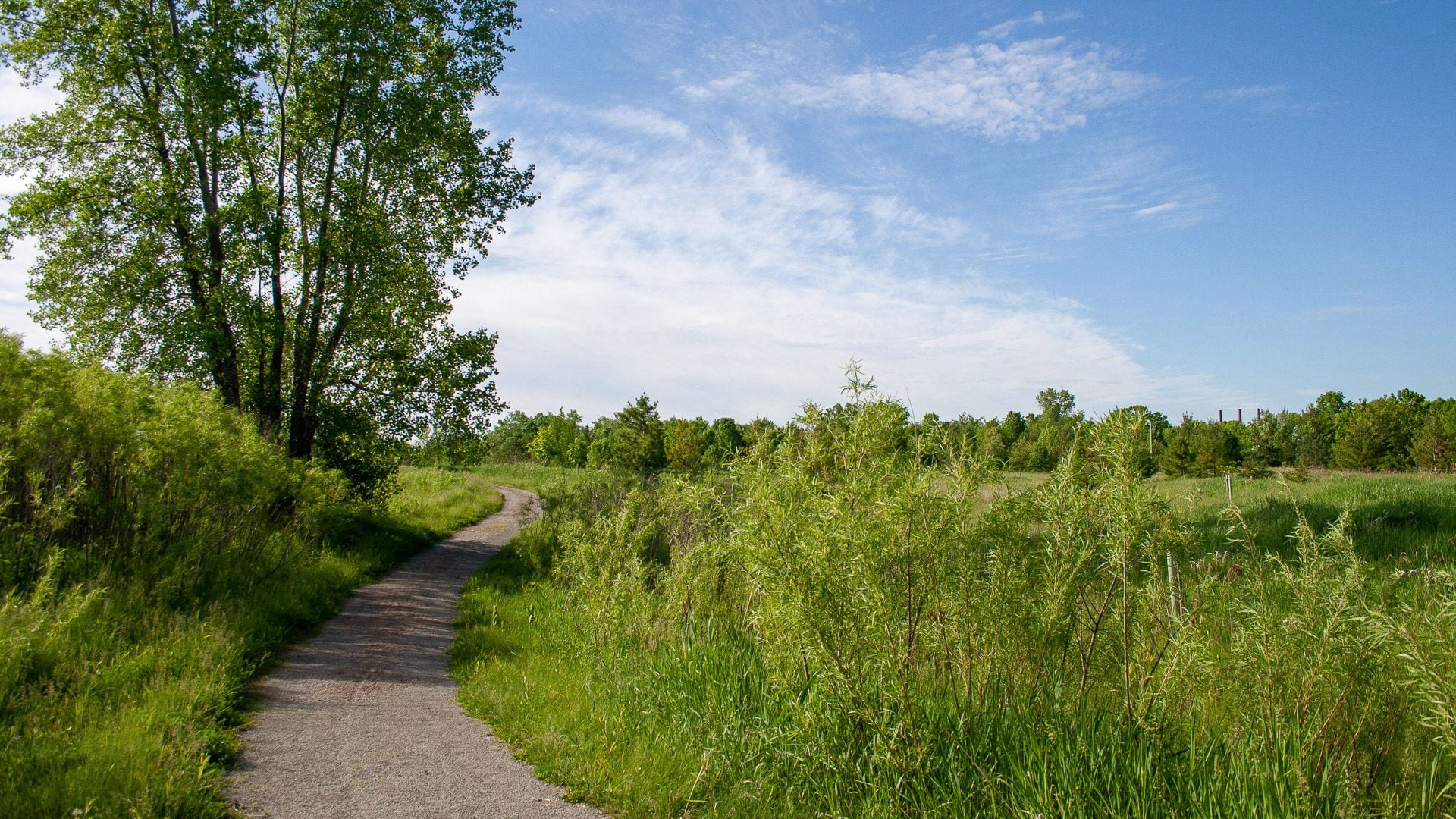 arboretum-trail - Inside UW-Green Bay News