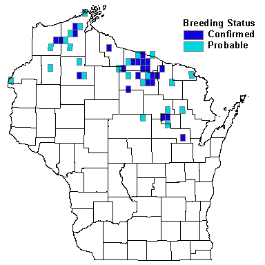 Dark-eyed Junco Map