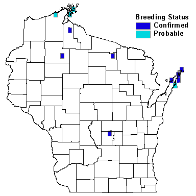 Red-breasted Merganser Map