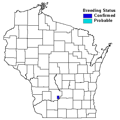 Western Kingbird Map
