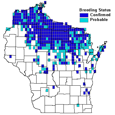 White-throated Sparrow Map